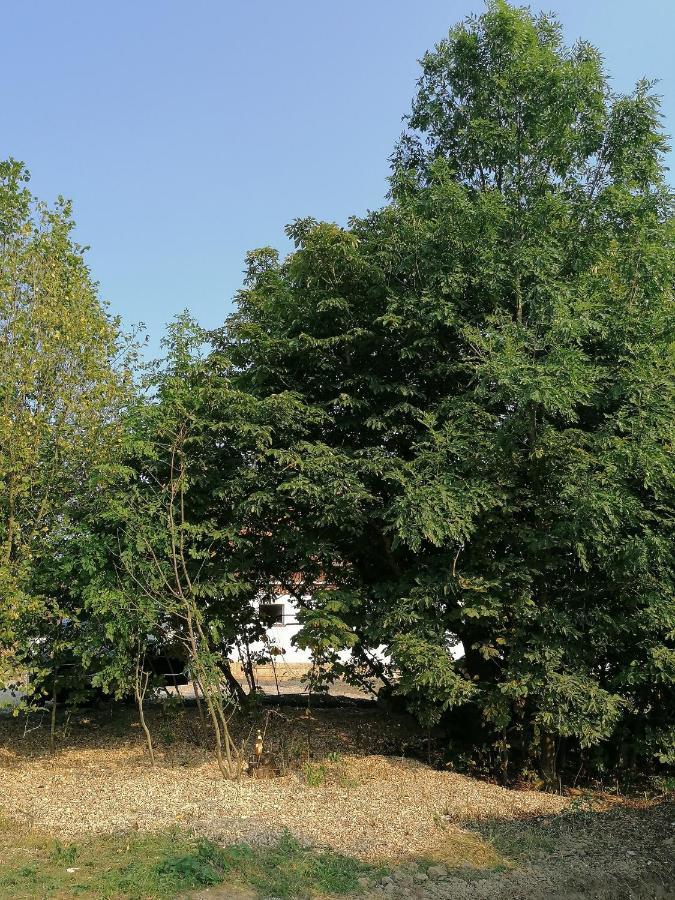 Camping Weides Küps Kültér fotó